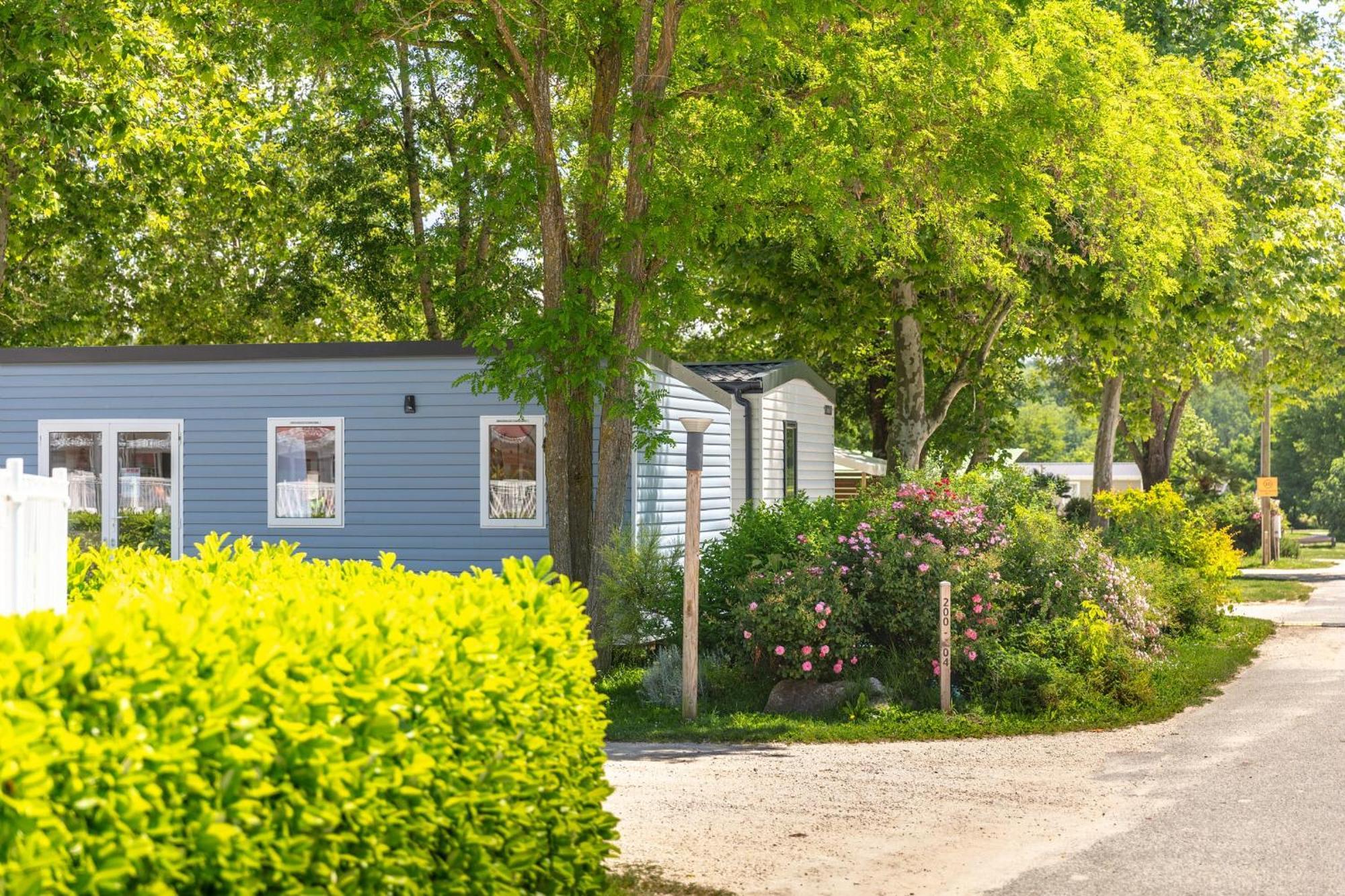 Camping Chateau De Galaure Chateauneuf-de-Galaure Eksteriør billede